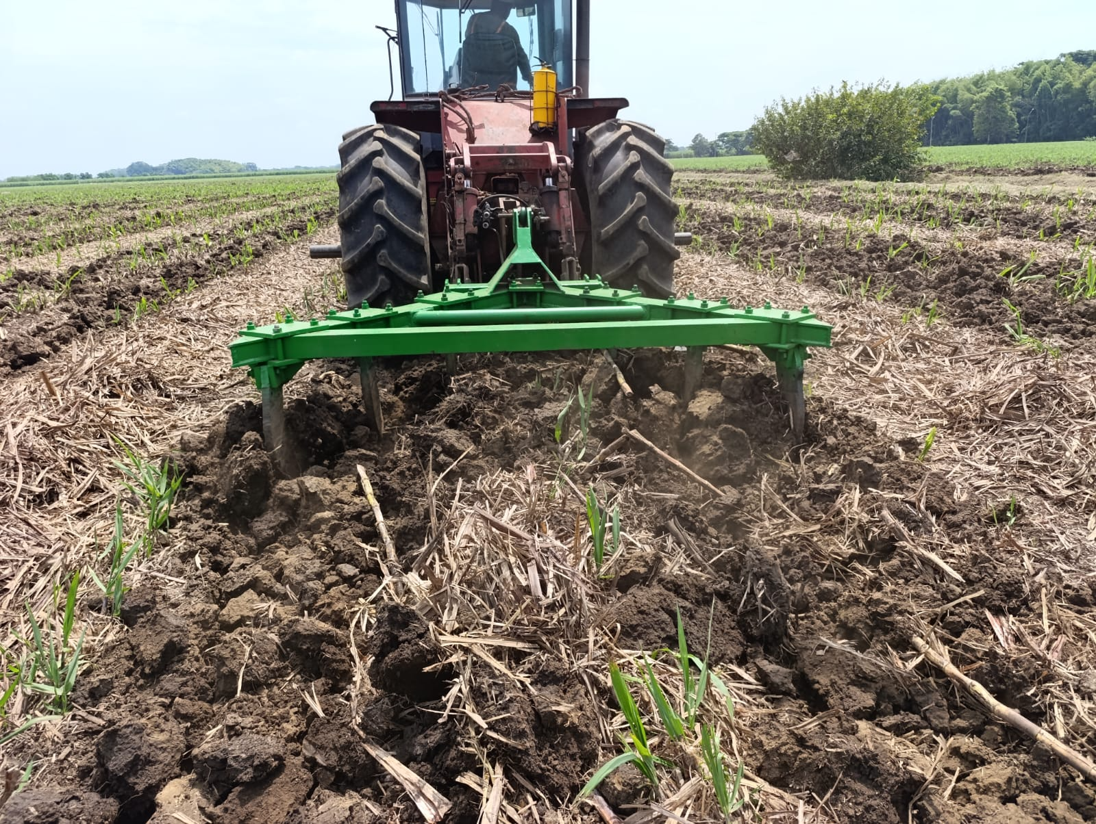 Roturación con Subsuelo Triple